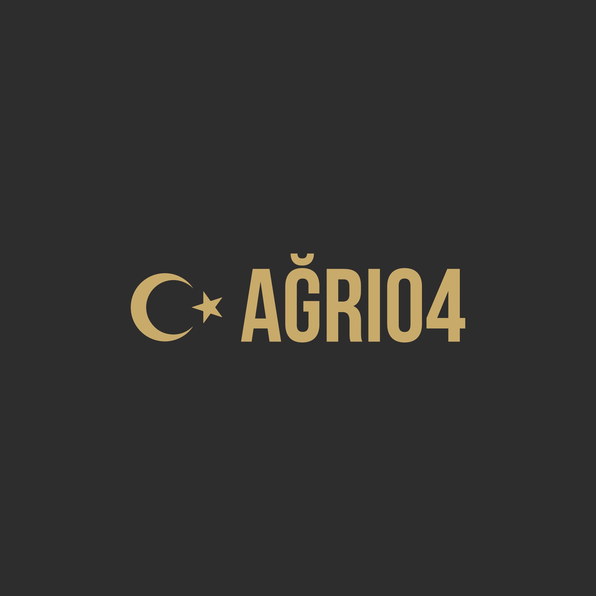 Ağrı 04